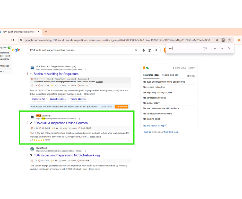 SEO Case 4